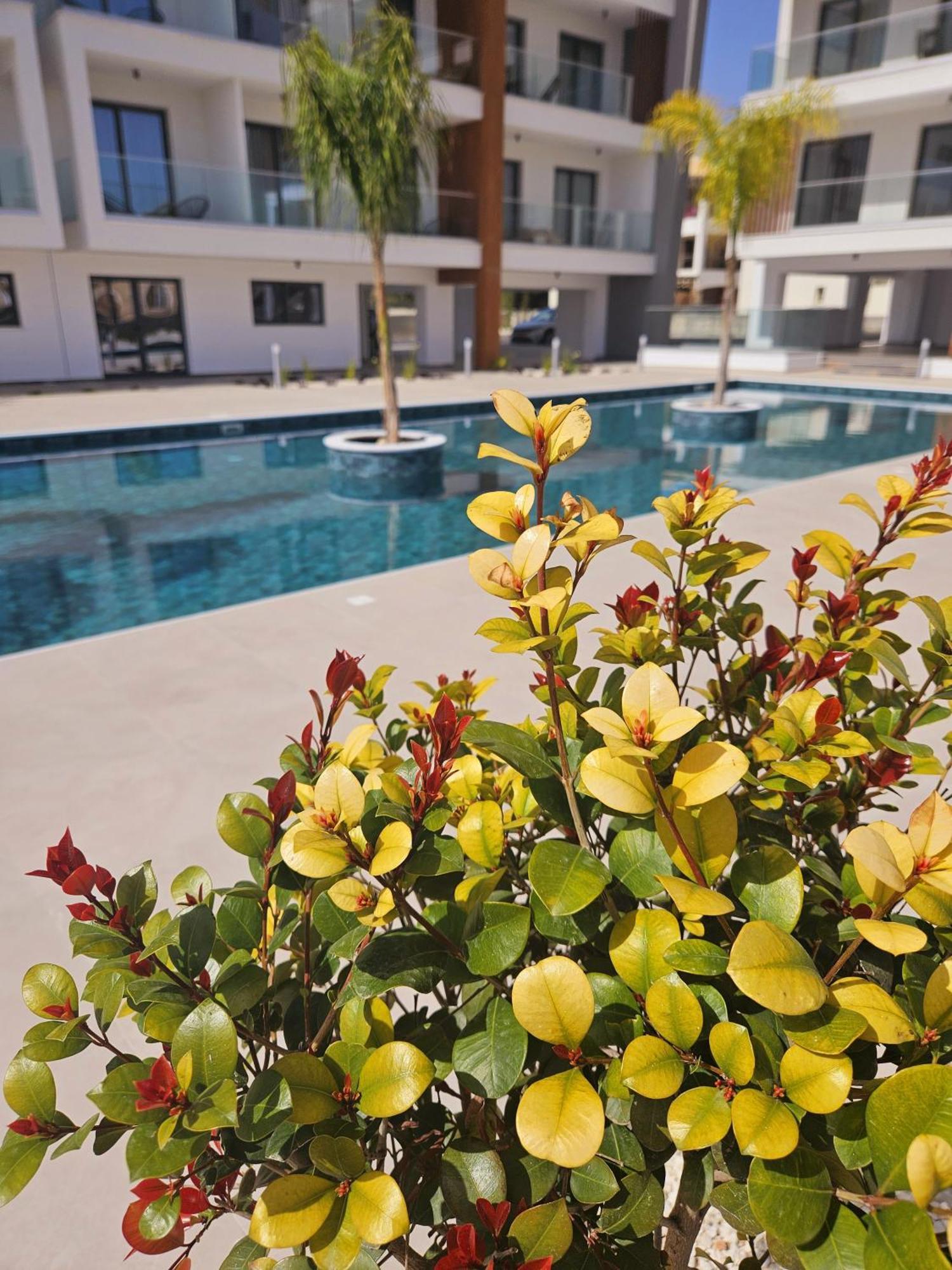 One Bedroom Apartment, Universal Residences Apartment *